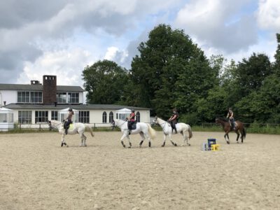 Reiten lernen in Tagen