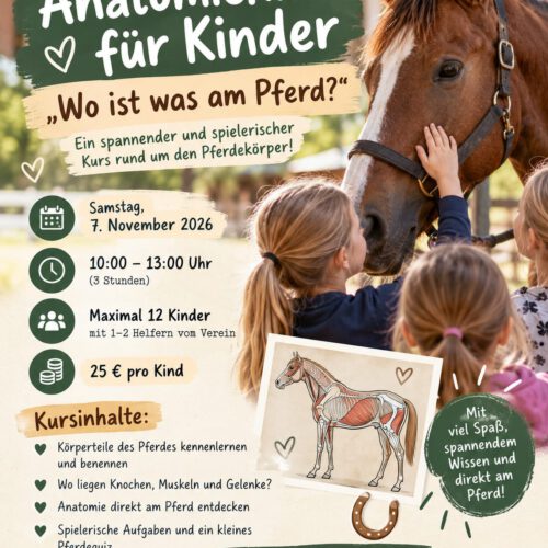 Anatomiekurs für Kinder – „Wo ist was am Pferd?“