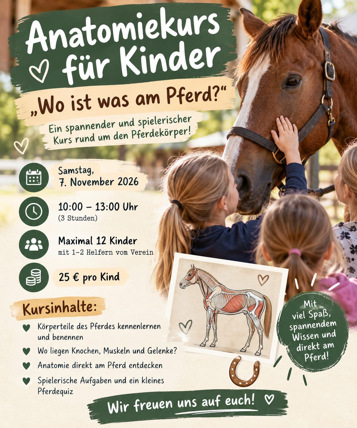 Anatomiekurs für Kinder – „Wo ist was am Pferd?“